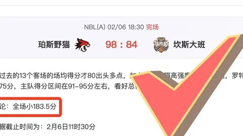 “去年塔帅以家人肖像打动卡拉菲奥里加盟阿森纳”